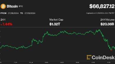 انخفاض بيتكوين إلى أقل من 67 ألف دولار بعد تحريك الحكومة الأمريكية 2 مليار دولار من رموز "طريق الحرير"