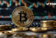 آخر مرة شهد فيها سعر البيتكوين (BTC) أقل من 10,000 دولار منذ أربع سنوات – اكتشف المزيد!