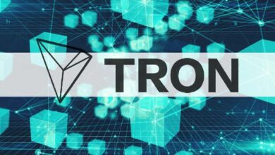 عاجل: TRON تتصدر سوق العملات المستقرة وتحرق 11 مليون TRX - اكتشف التفاصيل الآن!