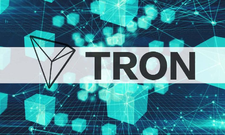 عاجل: TRON تتصدر سوق العملات المستقرة وتحرق 11 مليون TRX - اكتشف التفاصيل الآن!