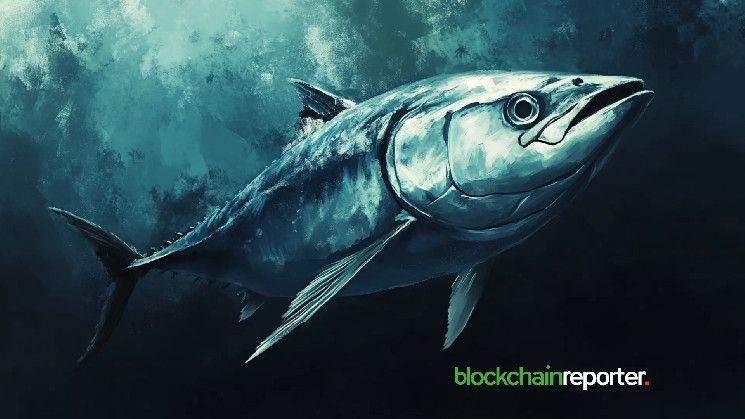 شراكة TunaChain وXLink لتعزيز أمان وكفاءة سلسلة التوريد، اكتشف التفاصيل الآن!