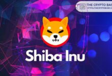 زعيم Shiba Inu يظهر على منصة X ليقدم شيئًا كبيرًا لـ SHIB - اكتشف الآن!