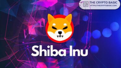 زعيم Shiba Inu يظهر على منصة X ليقدم شيئًا كبيرًا لـ SHIB - اكتشف الآن!