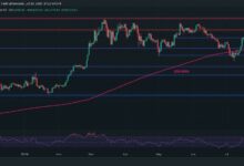 تحليل سعر بتكوين: الثيران يجب أن يحموا هذا المستوى للإبقاء على آمال الوصول إلى 70 ألف دولار