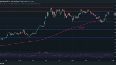 تحليل سعر بتكوين: الثيران يجب أن يحموا هذا المستوى للإبقاء على آمال الوصول إلى 70 ألف دولار