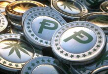 عملة Potcoin (POT) المبنية على Polygon تلفت الأنظار قبل إعادة تسمية MATIC إلى POL