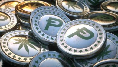 عملة Potcoin (POT) المبنية على Polygon تلفت الأنظار قبل إعادة تسمية MATIC إلى POL