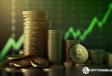 توقعات بيتكوين الهبوطية قد تكون صعودية: هل 100,000 دولار في الأفق؟