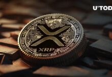 XRP يستهدف طفرة جنونية بارتفاع 7,900% في تصفية الثيران – اكتشف التفاصيل!