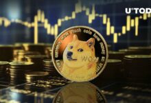 إرسال 41 مليون دولار في دوجكوين (DOGE) إلى بورصة كبرى: التفاصيل هنا