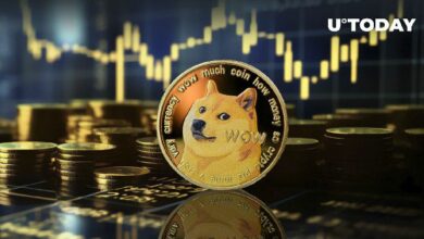 إرسال 41 مليون دولار في دوجكوين (DOGE) إلى بورصة كبرى: التفاصيل هنا