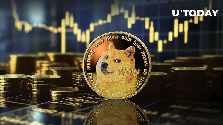 إرسال 41 مليون دولار في دوجكوين (DOGE) إلى بورصة كبرى: التفاصيل هنا