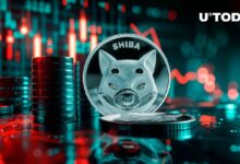 انهيار مؤشر رئيسي لـ SHIB رغم انتعاش سعر SHIB بنسبة 5% - اكتشف الأسباب الآن!