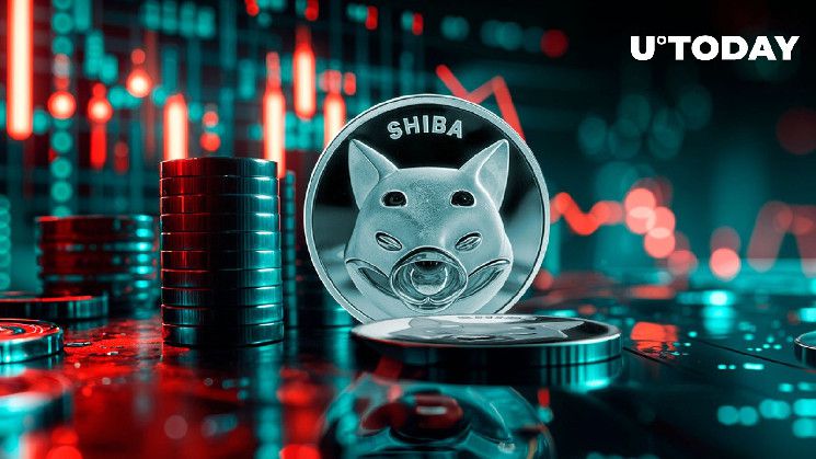 انهيار مؤشر رئيسي لـ SHIB رغم انتعاش سعر SHIB بنسبة 5% - اكتشف الأسباب الآن!