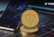 ارتفاع Toncoin (TON) بنسبة 257% في نشاط الحيتان وسط هجوم الدببة على سوق العملات المشفرة