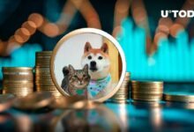 سعر قطة مالك DOGE يرتفع إلى 70 مليون دولار بفضل عملة ميم