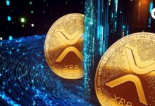 تحليل سعر XRP: هل سيرتد بعد الانخفاض الأخير في السوق؟