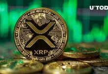 ارتفع سعر XRP بنسبة 143٪ في مؤشر رئيسي مع ارتفاع السعر