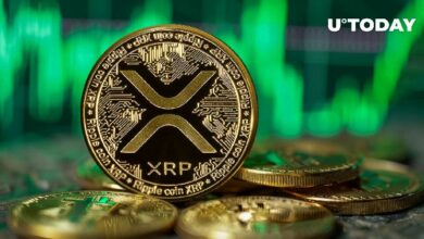 ارتفع سعر XRP بنسبة 143٪ في مؤشر رئيسي مع ارتفاع السعر