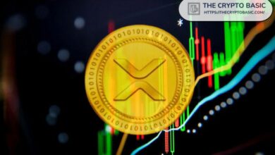 خبير يقول إنه رغم كون XRP عملية احتيال، إلا أن سعره يصل إلى منطقة مثيرة للاهتمام