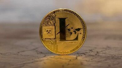 فيـديليتي تضيف لايتكوين إلى عروضها: هل سيرتفع سعر LTC؟