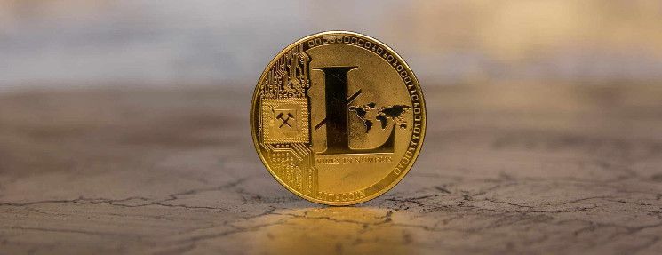 فيـديليتي تضيف لايتكوين إلى عروضها: هل سيرتفع سعر LTC؟