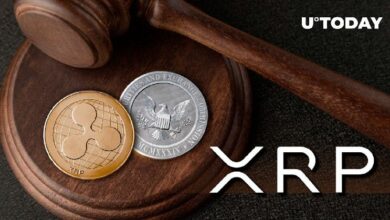 ترقب ضخم لـ 250% زيادة في تدفقات التمويل لـ XRP مع اقتراب حكم قضية ريبل و SEC