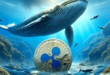 إنذار الحوت: تحويل 23.69 مليون XRP من بينانس إلى محفظة مجهولة