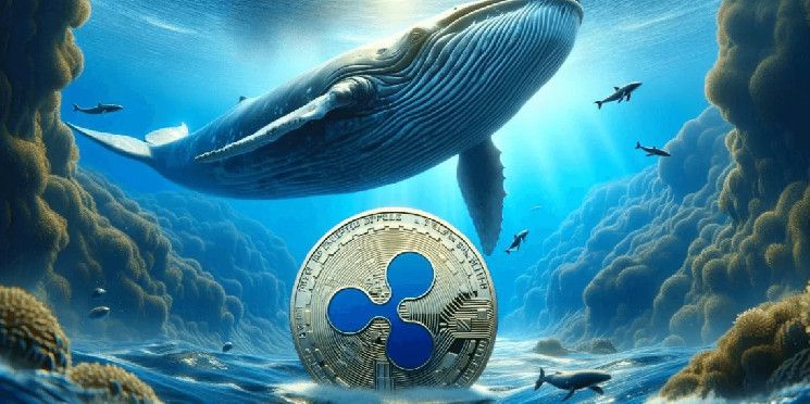 إنذار الحوت: تحويل 23.69 مليون XRP من بينانس إلى محفظة مجهولة