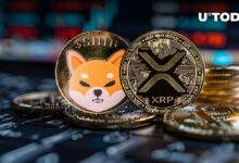 حاملو XRP وShiba Inu (SHIB) يعانون، لكن إليكم لماذا هذا مؤشر إيجابي