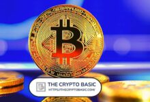 توقعات سعر البيتكوين: هل يمكن أن يصل BTC إلى 70 ألف دولار في يوليو 2024؟ اكتشف الآن!