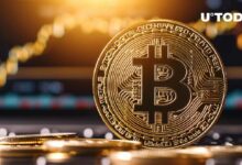 بتكوين (BTC) تسجل أعلى مستوى في خمسة أشهر: تقرير