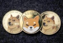 DOGE أم SHIB؟ سألنا ChatGPT-4o: أيهما الأفضل شراء في 2024؟