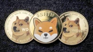 DOGE أم SHIB؟ سألنا ChatGPT-4o: أيهما الأفضل شراء في 2024؟