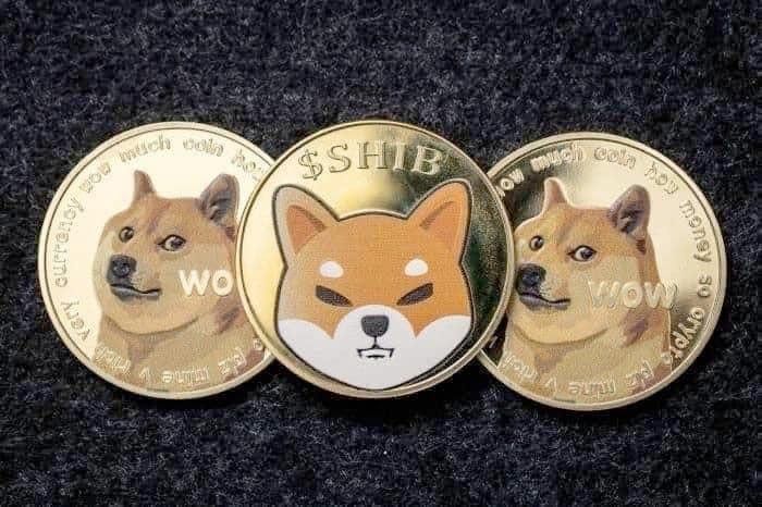 DOGE أم SHIB؟ سألنا ChatGPT-4o: أيهما الأفضل شراء في 2024؟