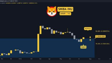 لماذا ارتفع سعر شيبا إينو (SHIB) هذا الأسبوع؟ اكتشف الآن!