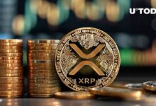 تحرك 26 مليون من عملة XRP خارج بورصة رئيسية: اكتشف التفاصيل