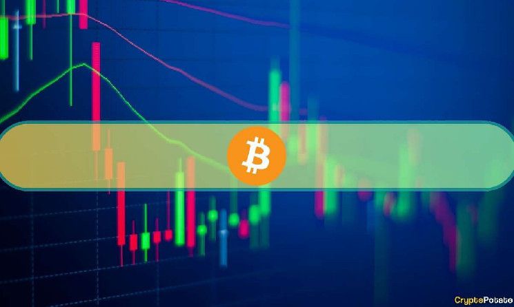 محاولات ثيران بيتكوين للدفاع عن سعر 63 ألف دولار بينما تتماسك العملات الرقمية البديلة (تحديث السوق)