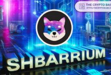 الرئيس التنفيذي لـ Shiba Inu يدفع حلول Web3 مثل Shibarium ردًا على تعطل CrowdStrike العالمية | اكتشف التفاصيل!