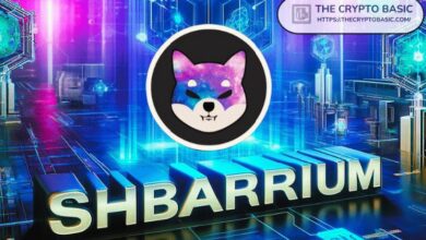 الرئيس التنفيذي لـ Shiba Inu يدفع حلول Web3 مثل Shibarium ردًا على تعطل CrowdStrike العالمية | اكتشف التفاصيل!