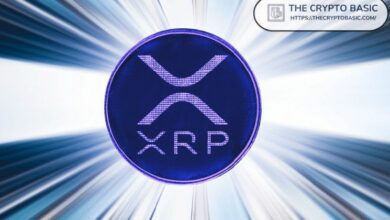 بيتستامب تتوقع ارتفاعاً لـ XRP: هل إدراج روبن هود قادم؟