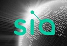 ارتفعت شعبية Siacoin (SC) مع تزايد حلول التخزين اللامركزي في ظل انقطاع تكنولوجيا المعلومات