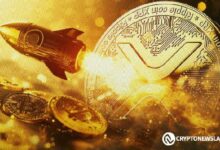 قفزة السعر البارابولية لـ XRP بنسبة 60,000٪ إلى 9,761 دولار بعد 18 يوماً وفقاً للأنماط التاريخية