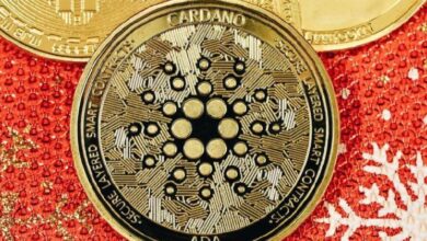 محفظة Tangem توسع دعم العملات الرقمية: أدخل وتعرف على Cardano والمزيد