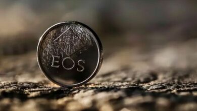 تفاعل مجتمع EOS بشكل إيجابي مع برنامج التخزين الجديد