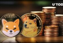 مقارنة بين SHIB و DOGE: إشارات "بيع مفرط" لشيبإينو مقابل دوجكوين - اكتشف التفاصيل!