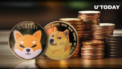 مقارنة بين SHIB و DOGE: إشارات "بيع مفرط" لشيبإينو مقابل دوجكوين - اكتشف التفاصيل!