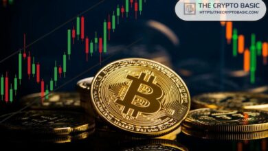 أغلبية مالكي البيتكوين يحققون الأرباح مع اقتراب ارتفاع BTC إلى 73,737 دولار، هل الاختراق قريب؟