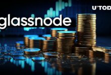 موسم العملات البديلة قد يكون وشيكًا، وفقًا لمؤسسي Glassnode