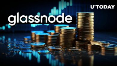 موسم العملات البديلة قد يكون وشيكًا، وفقًا لمؤسسي Glassnode